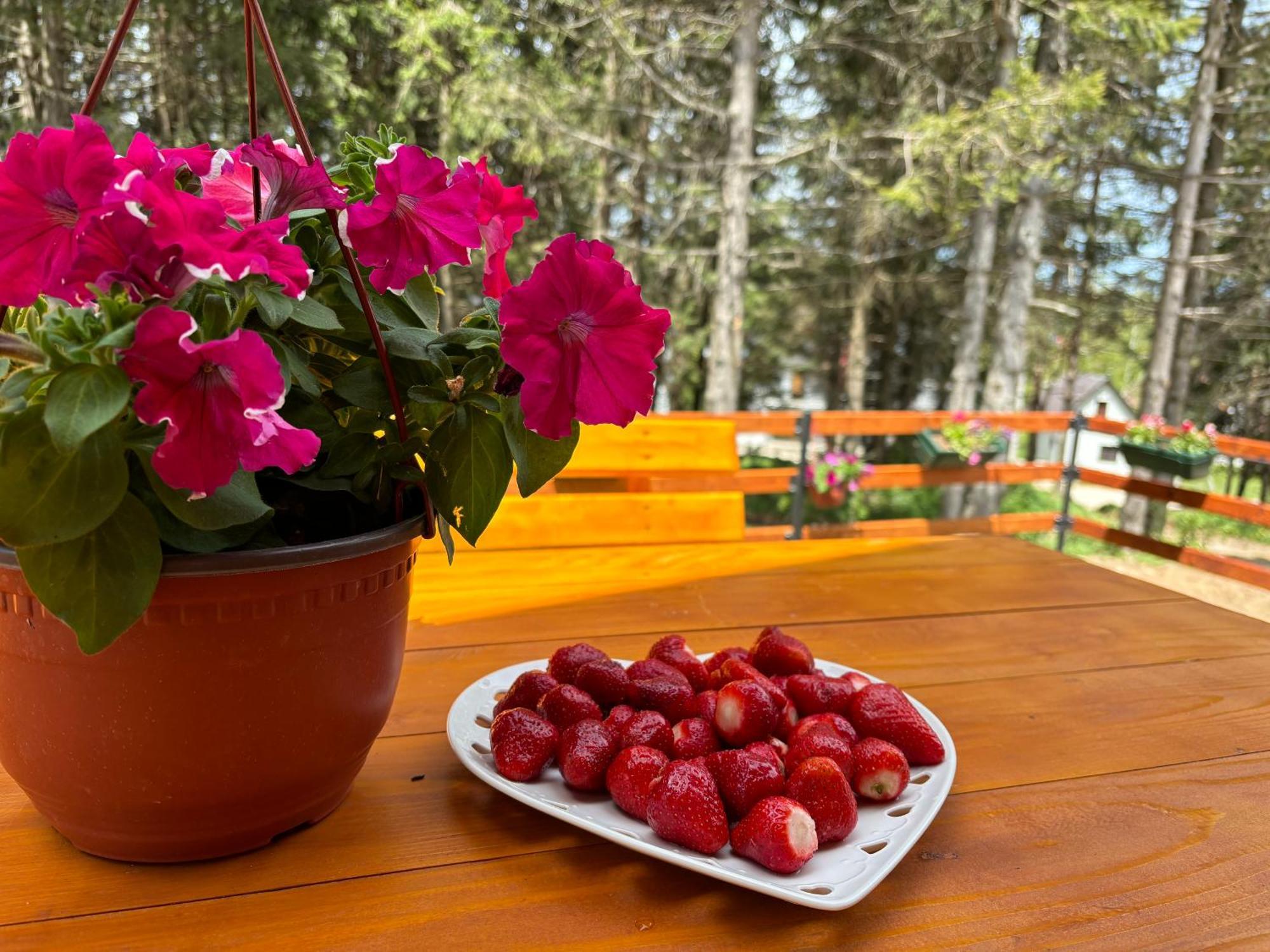 Holiday Home ,,Lazar" Žabljak Exterior foto